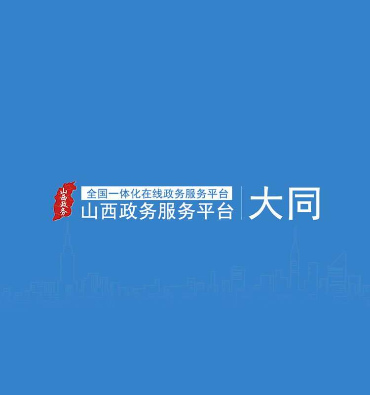 大同市政务服务网