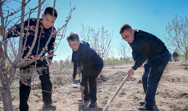 市四套班子领导参加全民义务植树活动