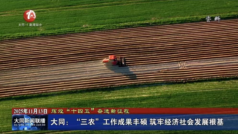 大同：“三农”工作成果丰硕 筑牢经济社会发展根基