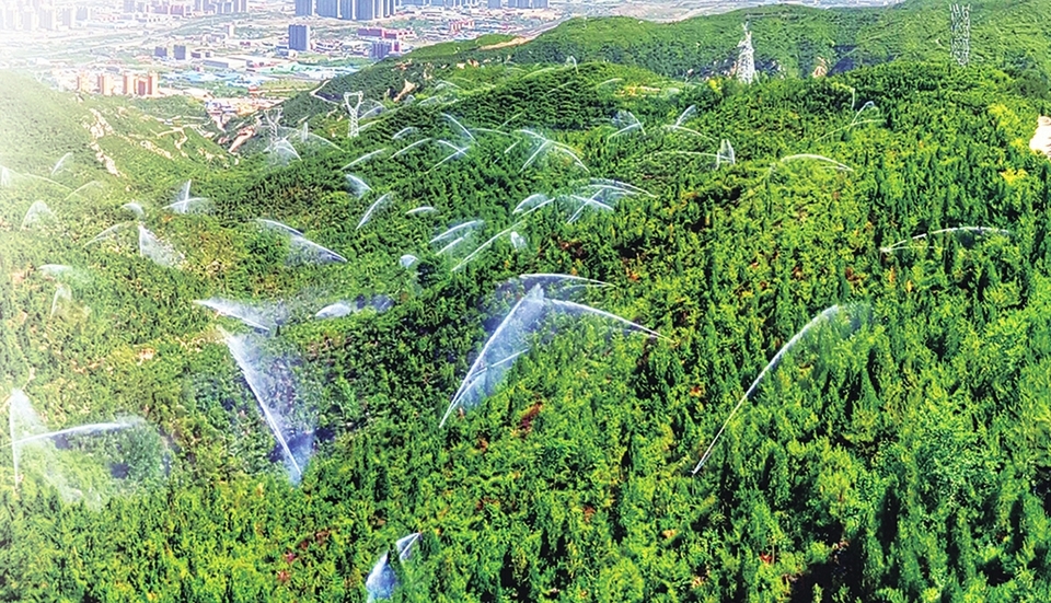 太原市玉泉山“三北”建设工程筑起生态屏障。