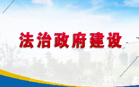 法治政府建设