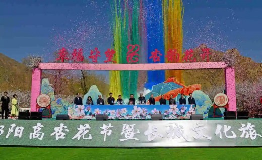 2023阳高杏花节暨长城文化旅游季开幕 张强出席并宣布开幕