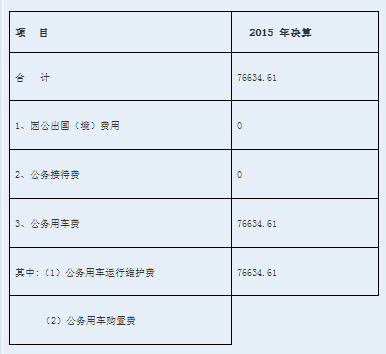 收入支出明细表模板_医院收入支出总表
