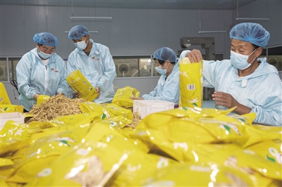 图为云州区唐家堡村有机黄花标准化种植基地生产车间内工人们正在对黄花进行包装。于宏 摄