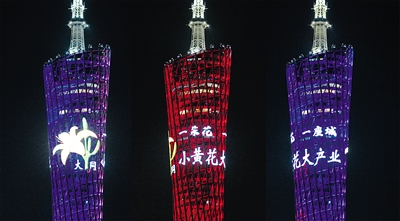 3月31日晚,大同黄花短片在广州地标“小蛮腰”上惊艳“绽放”。羊城晚报供图 3月31日晚,大同黄花短片在广州地标“小蛮腰”上惊艳“绽放”。羊城晚报供图