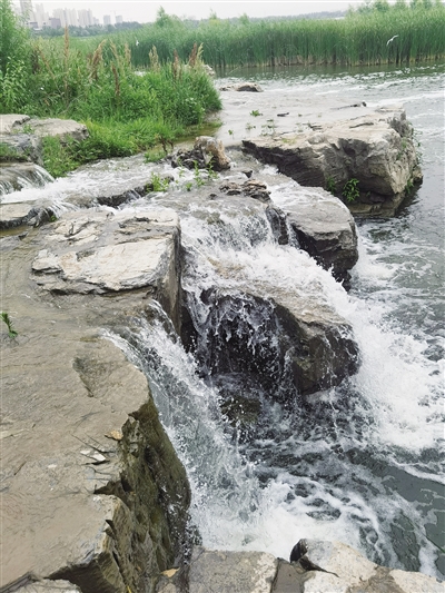 文瀛湖风景区的北引水渠处，补水口一道道清水涌出，形成了一个个景观瀑布。高雅敏摄