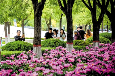 图为市民在芍药园赏花、拍照打卡。韩堃摄
