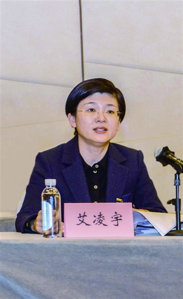 图为艾凌宇参加平城区代表团审议。戎禹仁摄