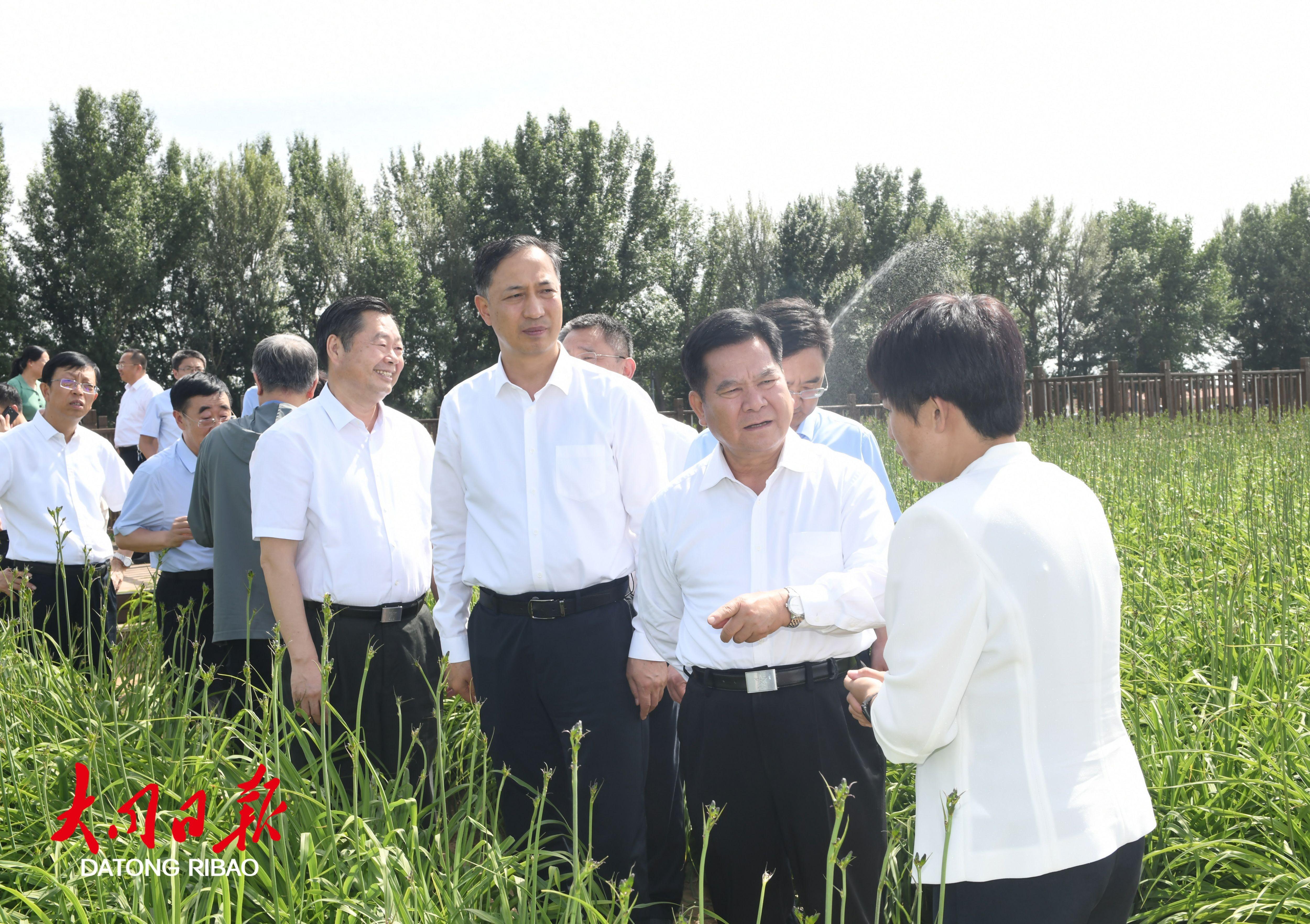 6月17日，全国人大常委会委员、全国人大农业与农村委员会副主任委员李纪恒（右二）率调研组在唐家堡黄花种植基地调研，省委常委、市委书记卢东亮（右三）等陪同。张燕伟摄