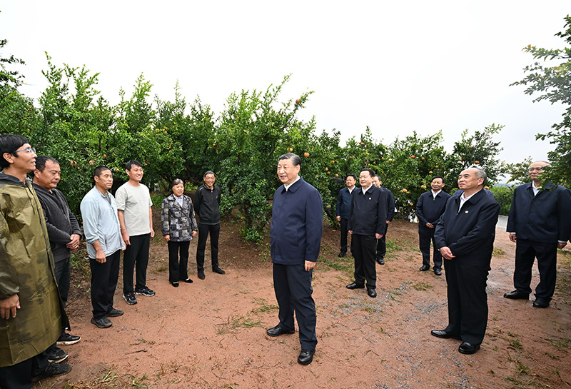 9月24日，中共中央总书记、国家主席、中央军委主席习近平在浙江考察结束返京途中，来到山东省枣庄市考察。这是习近平在位于峄城区的冠世榴园石榴种植园同老乡们亲切交流。新华社记者　谢环驰　摄