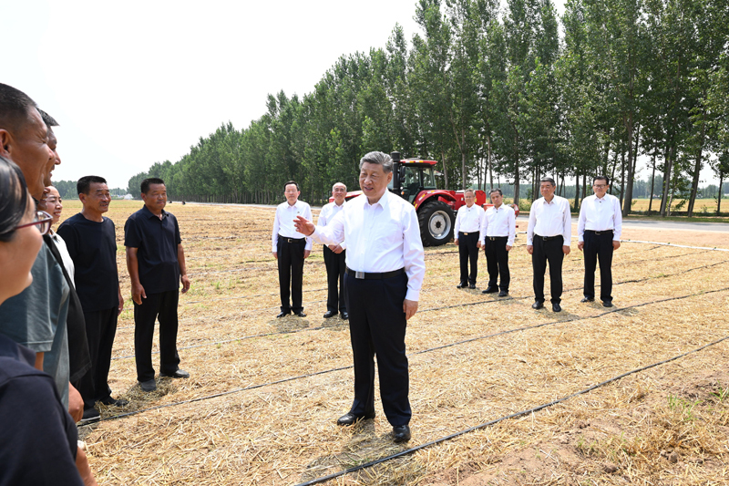 6月24日，中共中央总书记、国家主席、中央军委主席习近平在山东省德州市考察。这是习近平在陵城区边临镇东于架村，走进农田同种粮大户、农机手、农技人员亲切交流。新华社记者 谢环驰 摄
