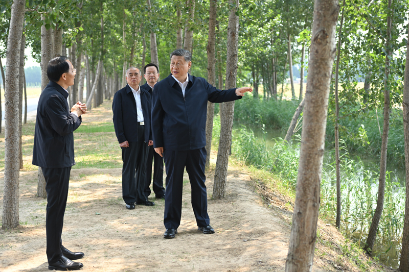 6月24日，中共中央总书记、国家主席、中央军委主席习近平在山东省德州市考察。这是习近平在陵城区边临镇东于架村农田灌渠边察看水肥一体化设施。新华社记者 燕雁 摄