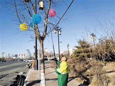 图为园林养护工人正在清理“树挂”垃圾。　尚丽摄