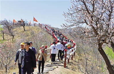 穿行在杏花林中,众多游客赶赴守口堡村这场“春天之约”。于宏摄 穿行在杏花林中,众多游客赶赴守口堡村这场“春天之约”。于宏摄