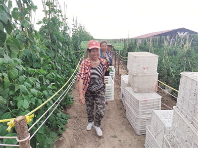 上泉村农民帮助认耕者进行田间管理。宋芳摄