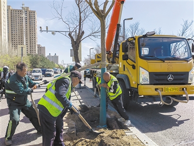 图为园林工作人员对道路两旁绿化带的绿植苗木进行补植补栽。张志忠摄