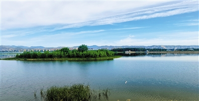 广灵壶流河湿地生态美景。仝存发摄