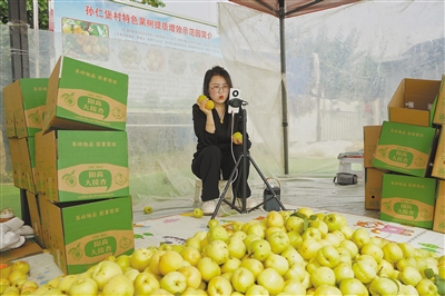 电商直播带货，让阳高杏从网上卖到了北京、天津等地。宋芳摄