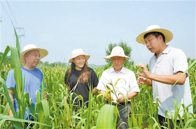 段卫国在讲解有机种植相关知识。（田脊梁种养专业合作社供图）