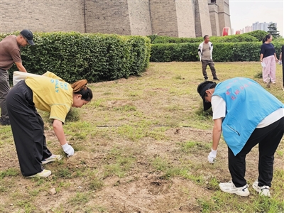 社区工作人员与志愿者清除辖区空地蒿草。段雨萌摄