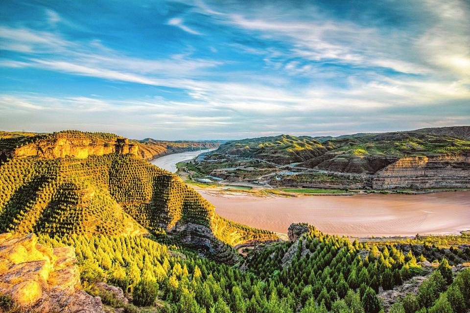 图为永和县沿黄三北防护林工程.