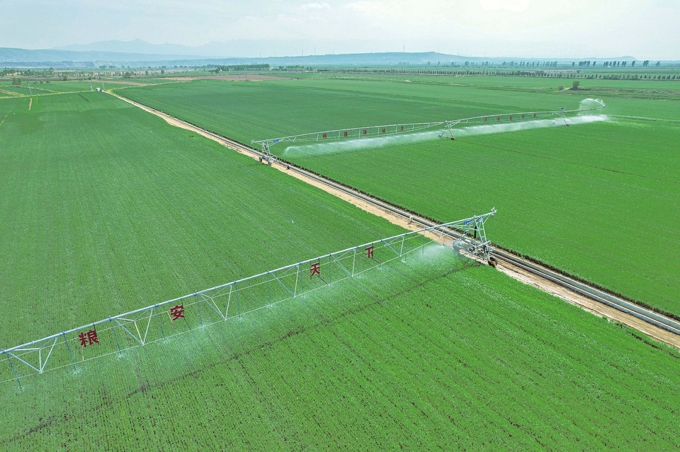 4月下旬，在芮城县黄汾百万亩粮食优质高产高效示范基地，自走式水肥一体机为小麦浇水。刘宝成 摄