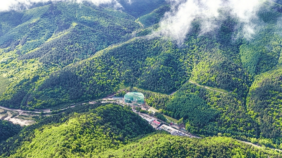 吕梁山朱鹮种群重建项目基地。