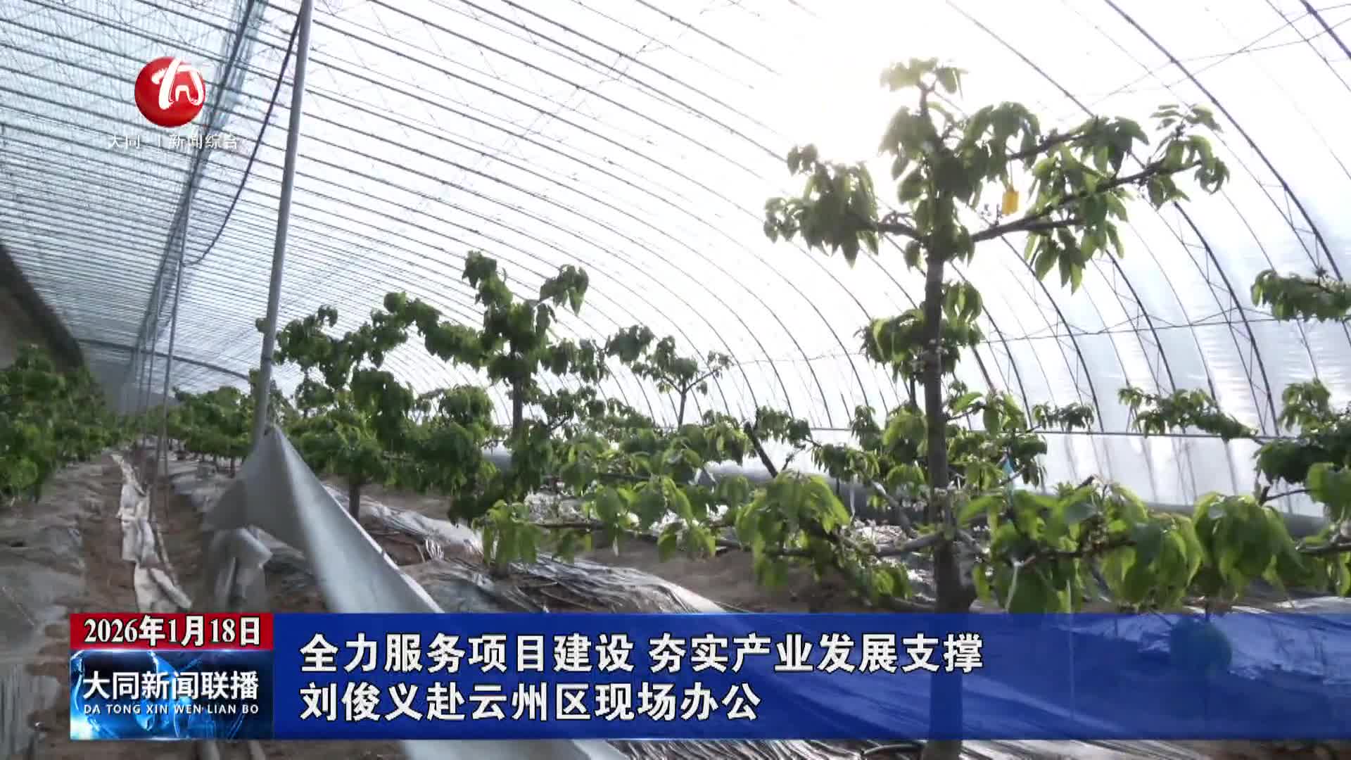 刘俊义赴云州区现场办公