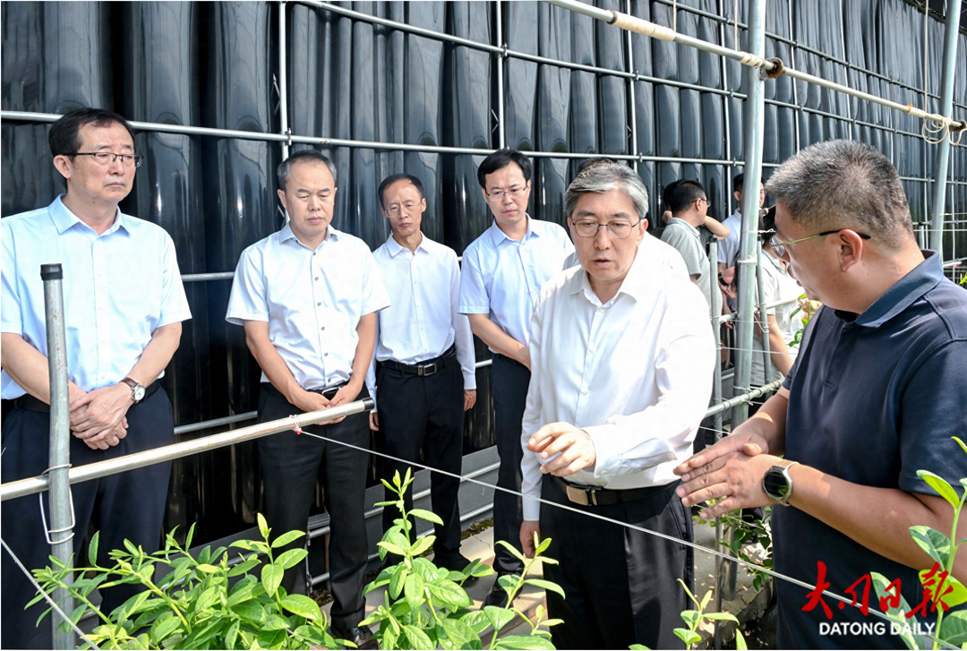 8月20日,副省长、市委书记朱晓东在阳高县沃林蓝莓种植基地调研蓝莓种植销售情况。张燕伟摄