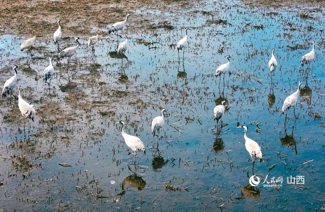 /website-webapp/ewebeditor/uploadfile/20251110103658214001