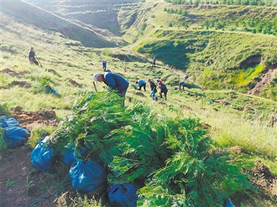 我市持续推进国土绿化各项工程，推动生态修复，筑牢绿色屏障，以实际行动绘就生态优先、绿色发展的美丽画卷。（资料照片）