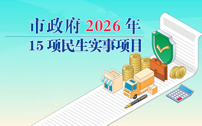 市政府2026年15项民生实事项目