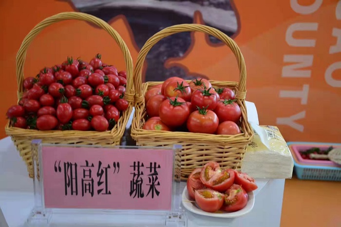 阳高红